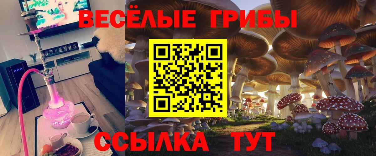 Галлюциногенные грибы Psilocybine cubensis Джанкой