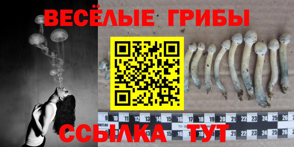 Джанкой  Галлюциногенные грибы Magic Shrooms  Вход с VPN 